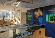 Schutzstation Wattenmeer