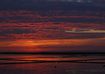 Schutzstation Wattenmeer e. V.