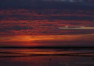Schutzstation Wattenmeer e. V.