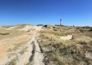 Schutzstation Wattenmeer e. V.