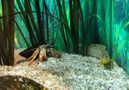 Schutzstation Wattenmeer